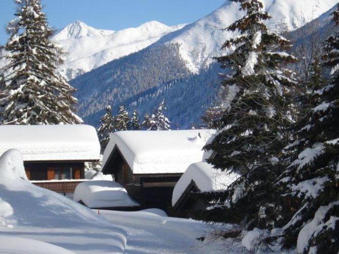 Superb Apartment With Views Of The Alps Bellwald Εξωτερικό φωτογραφία